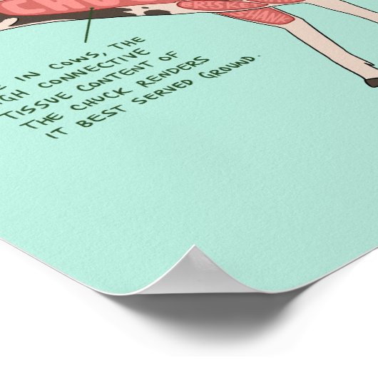 Dinosaurus poster - Edmontosaurus (Hoek)