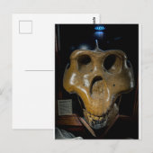 Dinosaurus Schedel Briefkaart (Voorkant / Achterkant)
