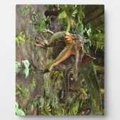 Dinosaurus Spinosaurus Fotoplaat (Voorkant)