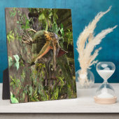 Dinosaurus Spinosaurus Fotoplaat (Zijkant)