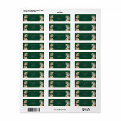 Dinosaurus Themahuwelijk Retouradres Etiket (Full Sheet)
