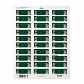 Dinosaurus Thematisch Trouwadres Etiket (Full Sheet)