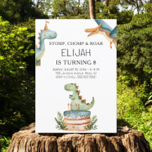 Dinosaurus Verjaardag Kinder Partij