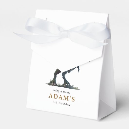 Dinosaurus Verjaardag Uitnodiging, Drie Rex Verjaa Bedankdoosjes (Voorkant Zijde)