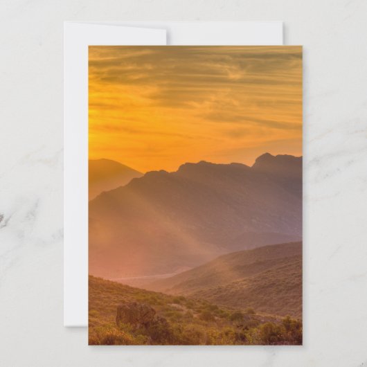 Dinosaurus verjaardagsuitnodiging, T Rex Kids Verj (Achterkant)