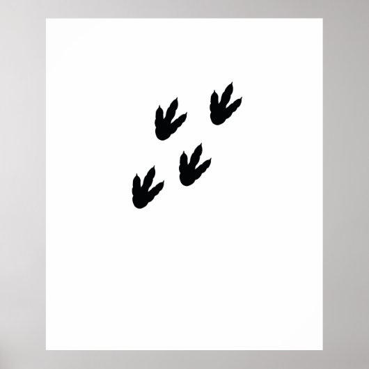 dinosaurus voetafdrukken poster (Voorkant)