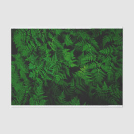 dinosaurusbos tissuepapier