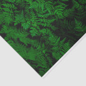 dinosaurusbos tissuepapier (Detail)