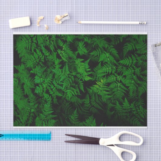 dinosaurusbos tissuepapier (Craft)