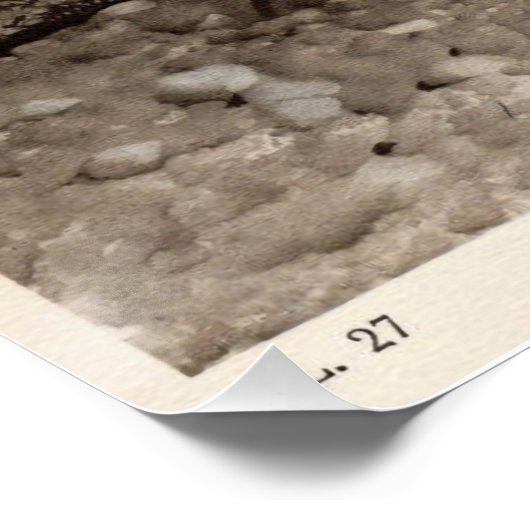  dinosaurusdruk #1 perfect poster (Hoek)