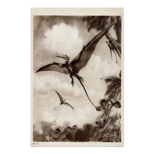  dinosaurusdruk #3 perfect poster (Voorkant)