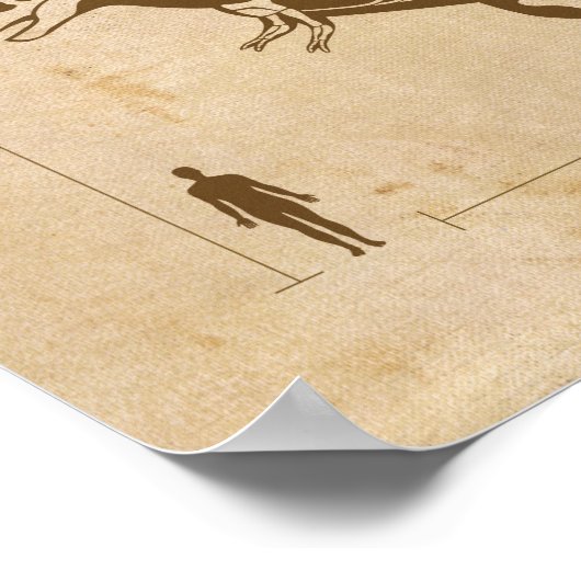 Dinosaurusfossiel 4 Poster (Hoek)