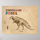 Dinosaurusfossiel 4 Poster (Voorkant)