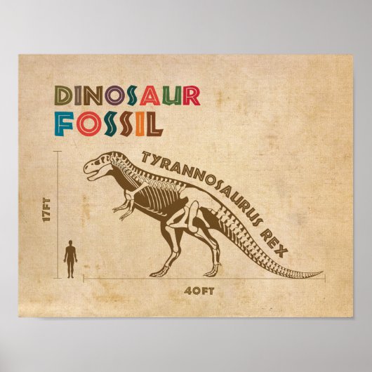 Dinosaurusfossiel 4 Poster (Voorkant)