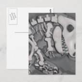 Dinosaurusfossiel Briefkaart (Voorkant / Achterkant)