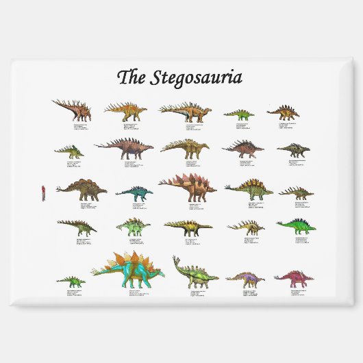 dinosaurusgrafiek poster magneet (Voorkant)