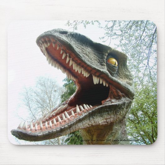 dinosaurusmousemat muismat (Voorkant)