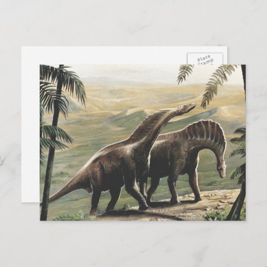  dinosaurussen, Amargasaurus met palmbomen Briefkaart (Voorkant / Achterkant)