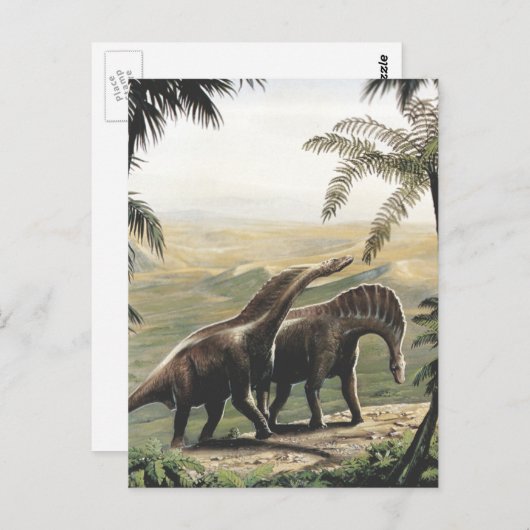  dinosaurussen, Amargasaurus met palmbomen Briefkaart (Voorkant / Achterkant)