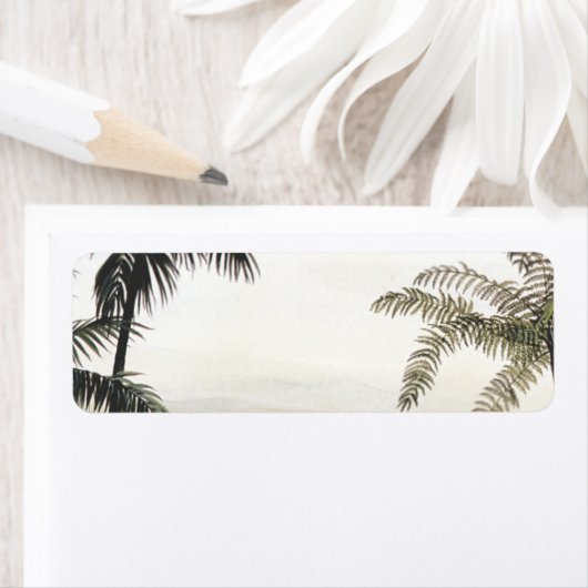  dinosaurussen, Amargasaurus met palmbomen Etiket (Insitu)