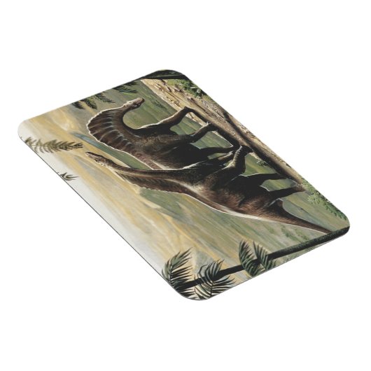  dinosaurussen, Amargasaurus met palmbomen Magneet (Rechterzijde)