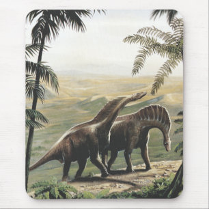 dinosaurussen, Amargasaurus met palmbomen Muismat