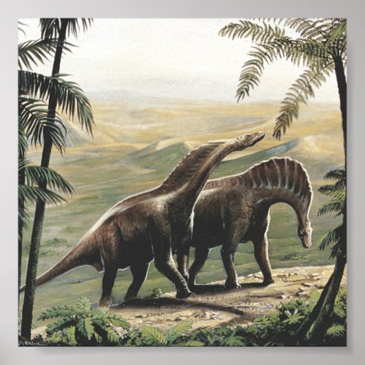  dinosaurussen, Amargasaurus met palmbomen Poster (Voorkant)
