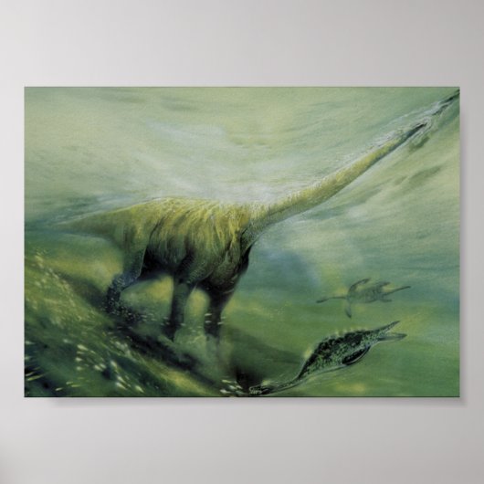  dinosaurussen, Brachiosaurus die zwemmen in de oc Poster (Voorkant)