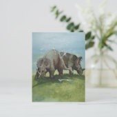  dinosaurussen, Centrosaurus Grazing in de weide Briefkaart (Staand voorkant)