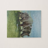  dinosaurussen, Centrosaurus Grazing in de weide Legpuzzel (Horizontaal)