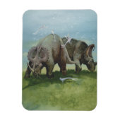 dinosaurussen, Centrosaurus Grazing in de weide Magneet (Verticaal)