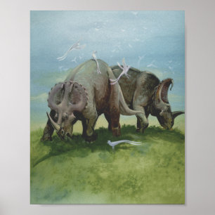  dinosaurussen, Centrosaurus Grazing in de weide Poster