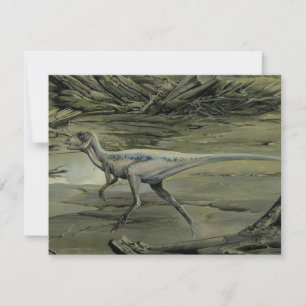 dinosaurussen, een Cretacous Hypsilophodon