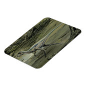 dinosaurussen, een Cretacous Hypsilophodon Magneet (Linkerzijde)