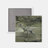  dinosaurussen, een Cretacous Hypsilophodon Magneet (Voorkant / Achterkant)