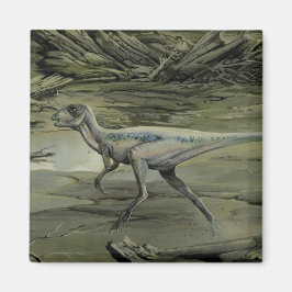  dinosaurussen, een Cretacous Hypsilophodon Magneet