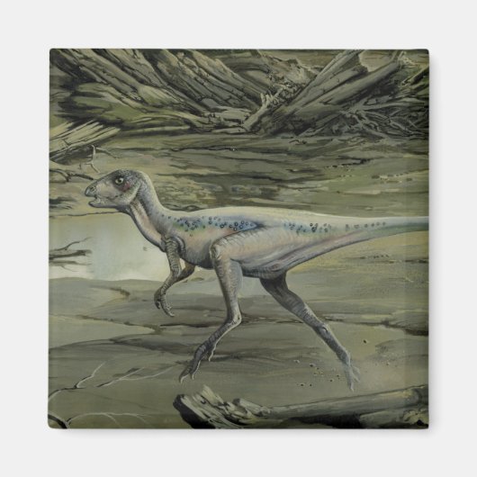  dinosaurussen, een Cretacous Hypsilophodon Magneet (Voorkant)