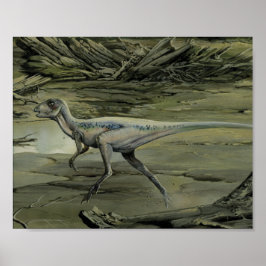  dinosaurussen, een Cretacous Hypsilophodon Poster