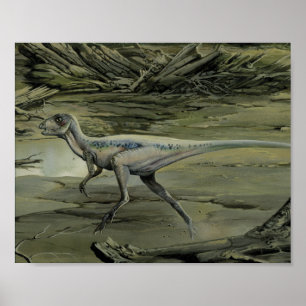  dinosaurussen, een Cretacous Hypsilophodon Poster