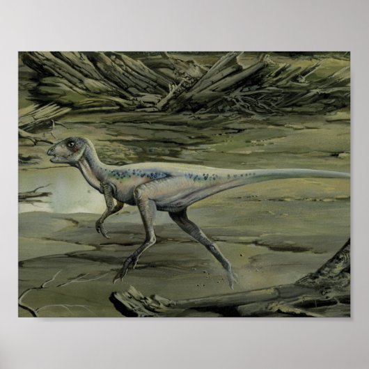  dinosaurussen, een Cretacous Hypsilophodon Poster (Voorkant)
