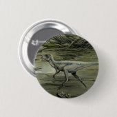 dinosaurussen, een Cretacous Hypsilophodon Ronde Button 5,7 Cm (Voorkant /achterkant)