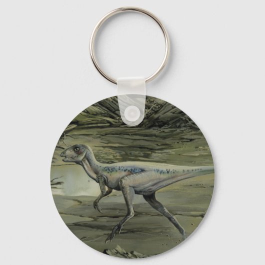  dinosaurussen, een Cretacous Hypsilophodon Sleutelhanger (Voorkant)