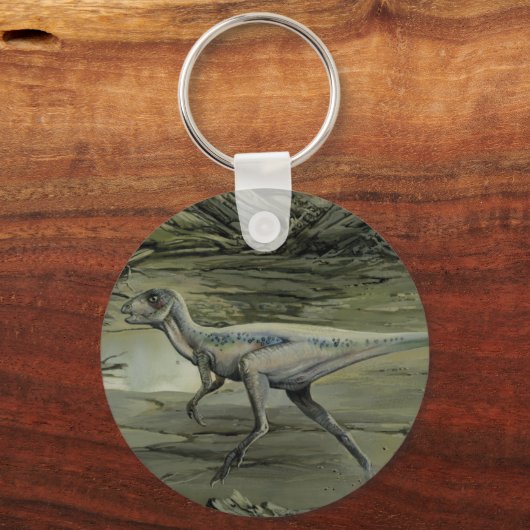  dinosaurussen, een Cretacous Hypsilophodon Sleutelhanger (Achterkant)