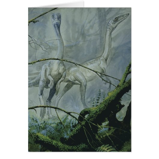 dinosaurussen, Megapnosaurus o.b.a. Syntarsus (Voorkant)