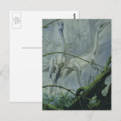 dinosaurussen, Megapnosaurus o.b.a. Syntarsus Briefkaart (Voorkant / Achterkant)