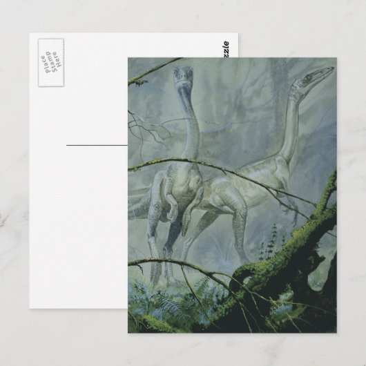 dinosaurussen, Megapnosaurus o.b.a. Syntarsus Briefkaart (Voorkant / Achterkant)