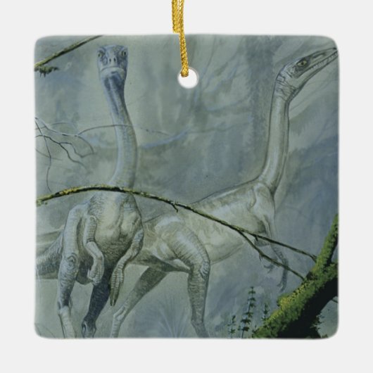 dinosaurussen, Megapnosaurus o.b.a. Syntarsus Keramisch Ornament (Voorkant)