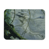  dinosaurussen, Megapnosaurus o.b.a. Syntarsus Magneet (Horizontaal)