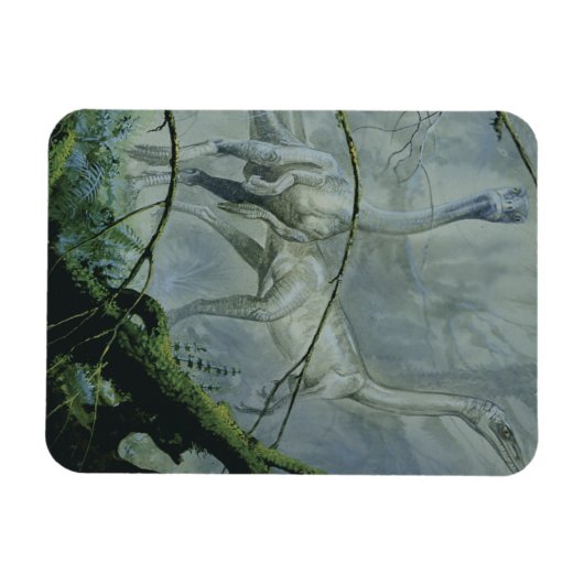 dinosaurussen, Megapnosaurus o.b.a. Syntarsus Magneet (Horizontaal)