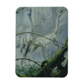 dinosaurussen, Megapnosaurus o.b.a. Syntarsus Magneet (Verticaal)